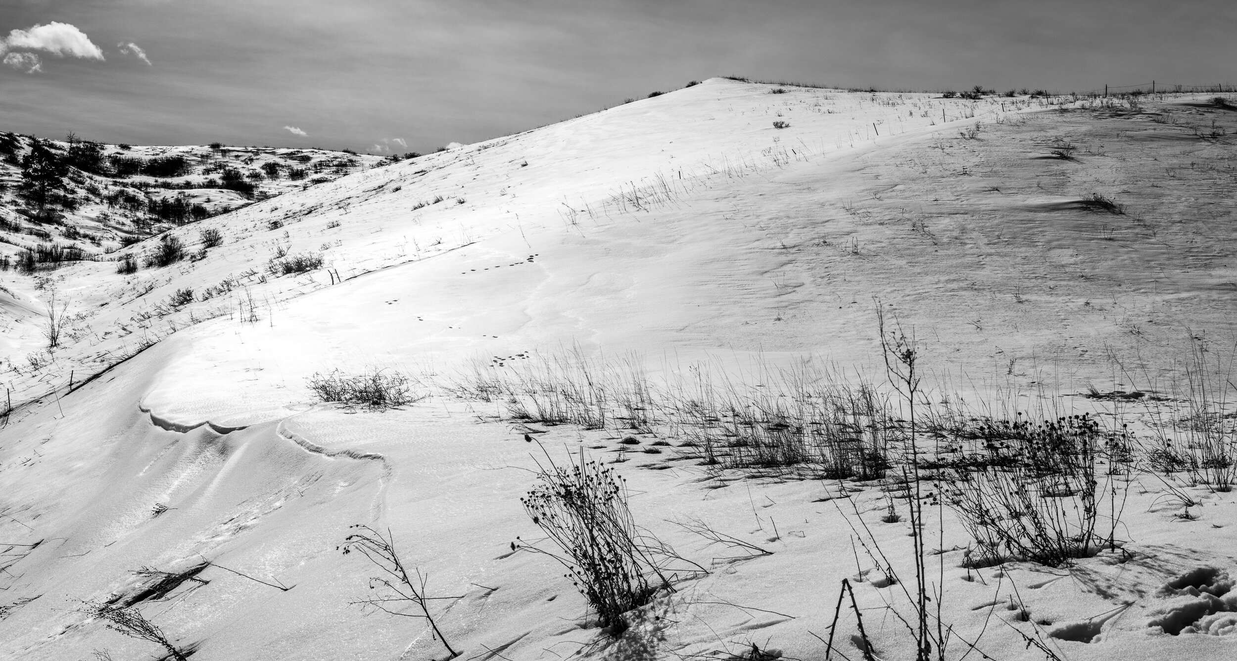 Temperate Zone