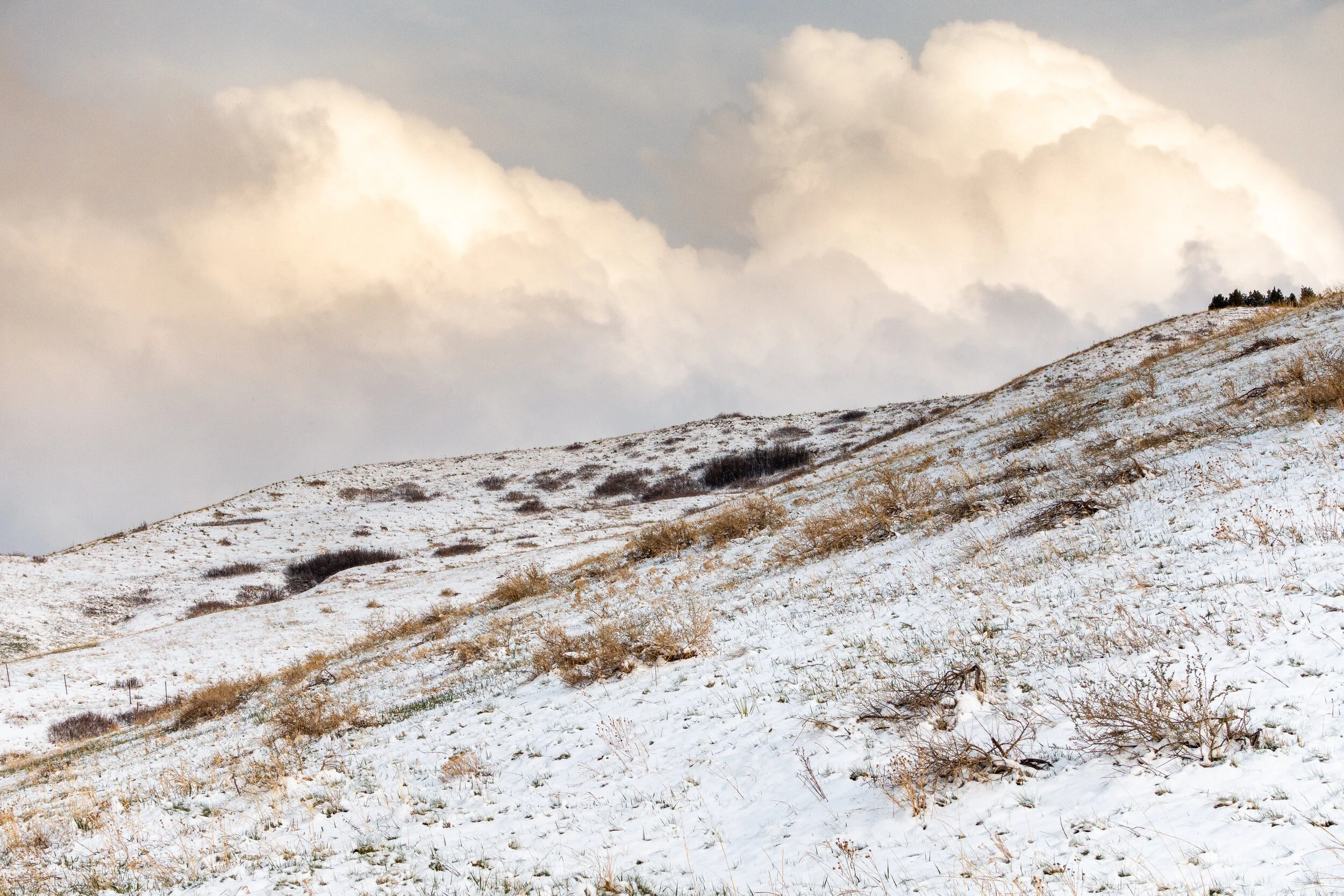 Easter Snow