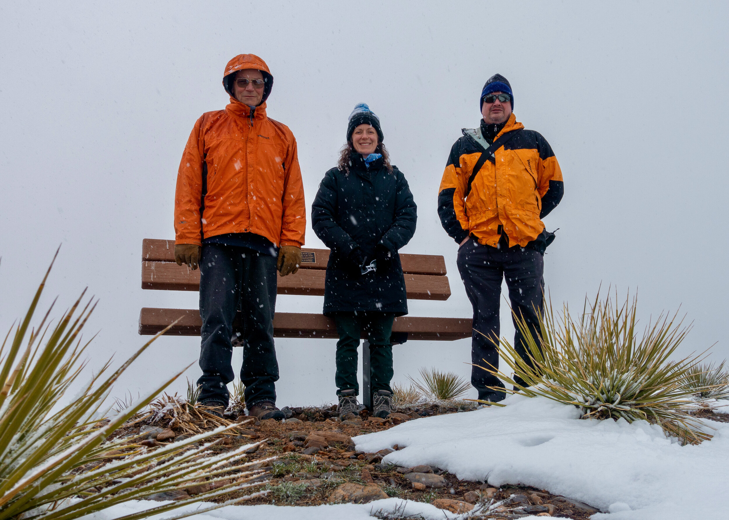 The Battle of Oerman-Roche