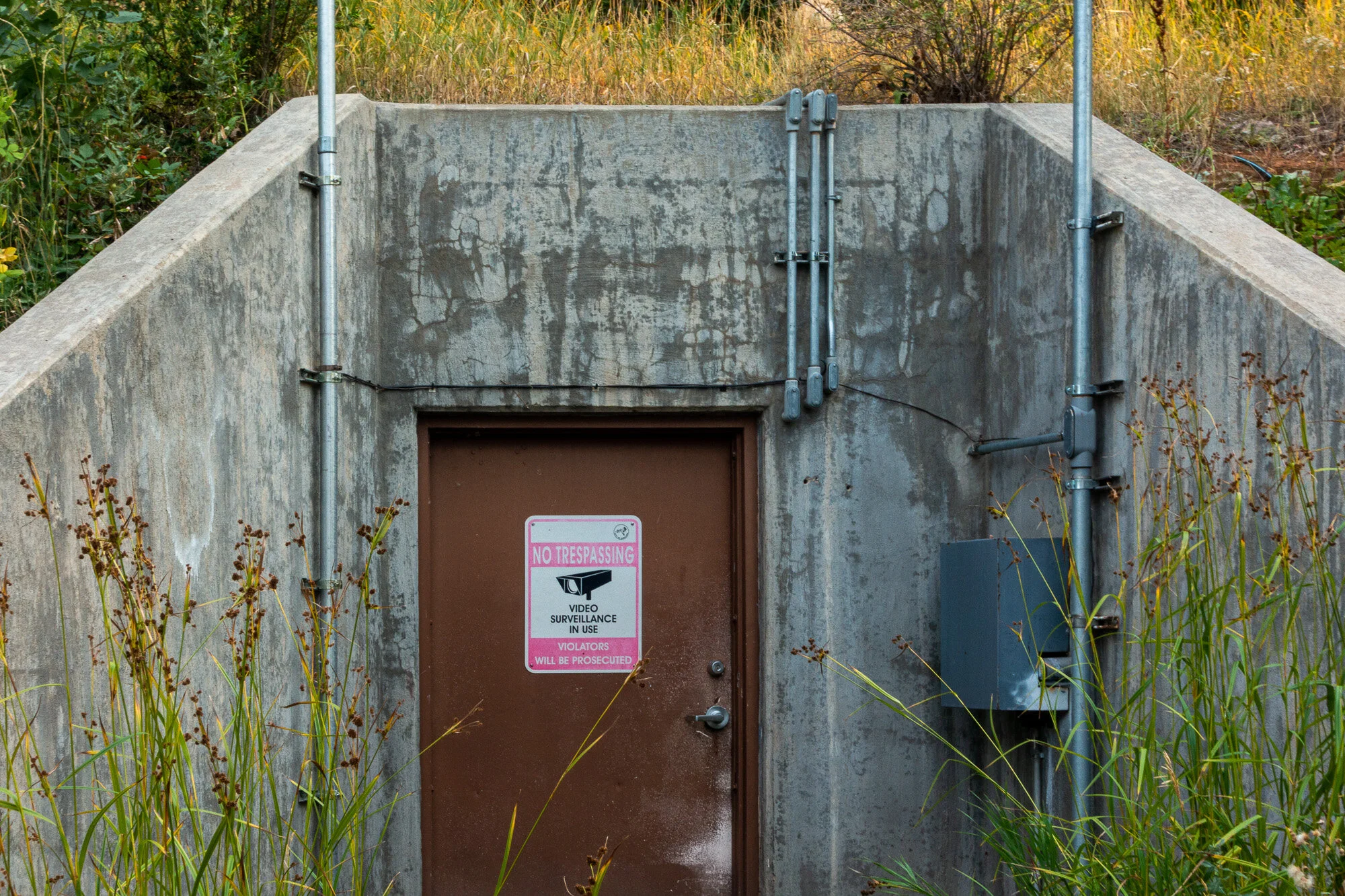 Elusive Quarry