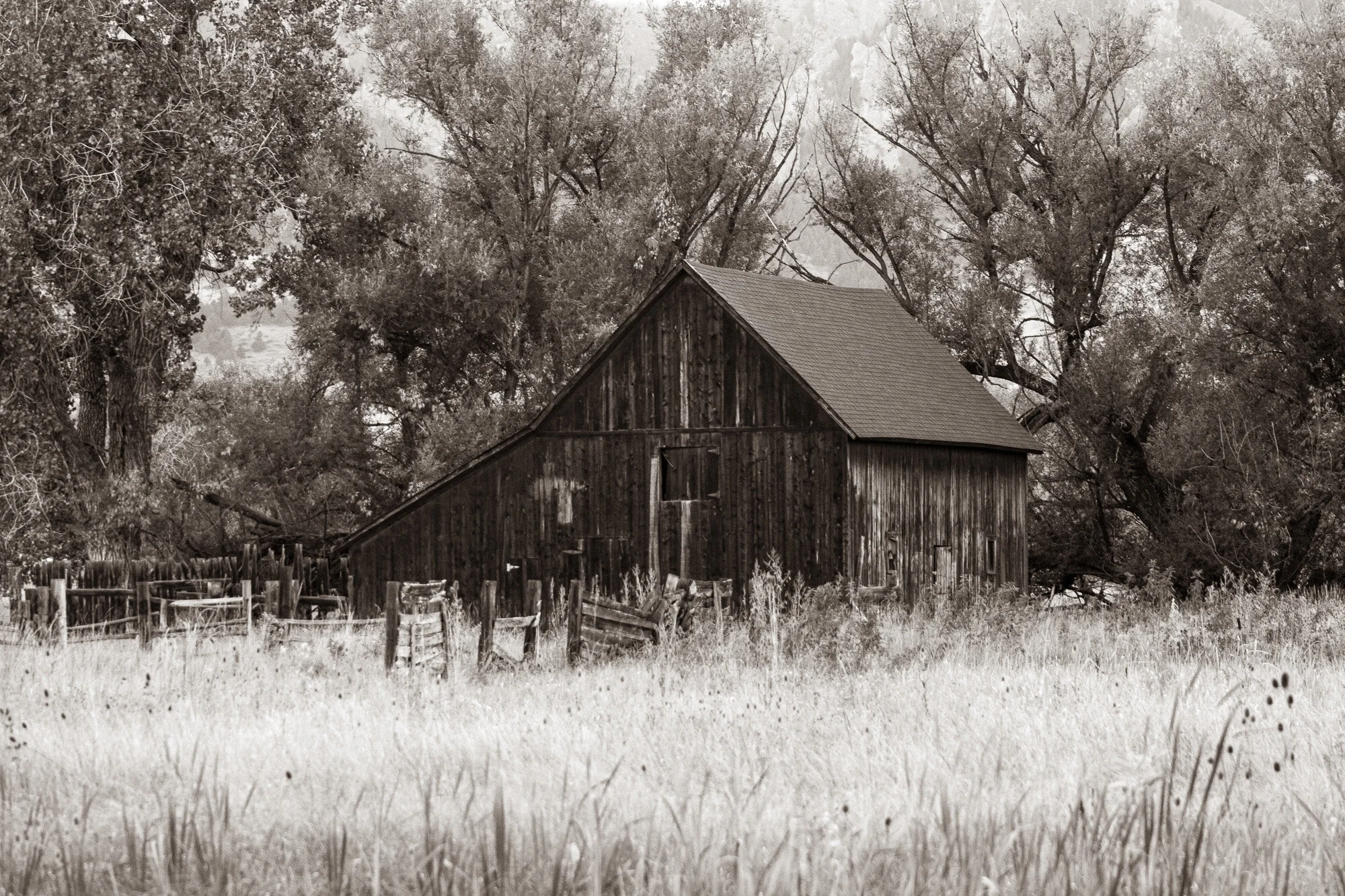 Forty Past Autumn