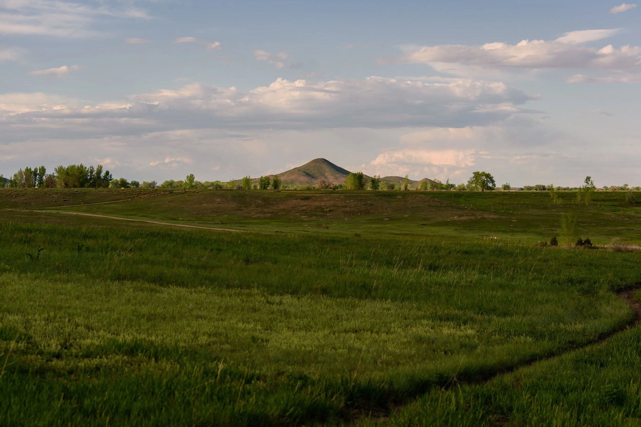 Round the Ranch