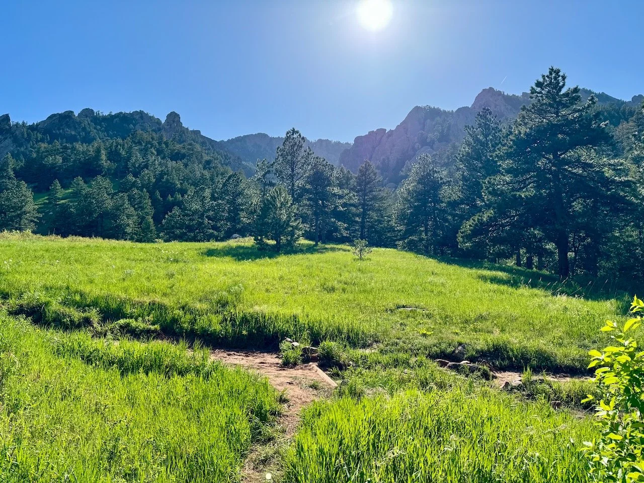 Skunk Canyon - NCAR Loop