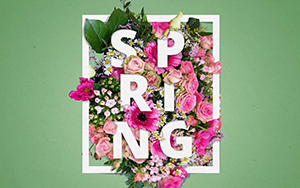 FloralPosterArt_Horitonalweb1.png