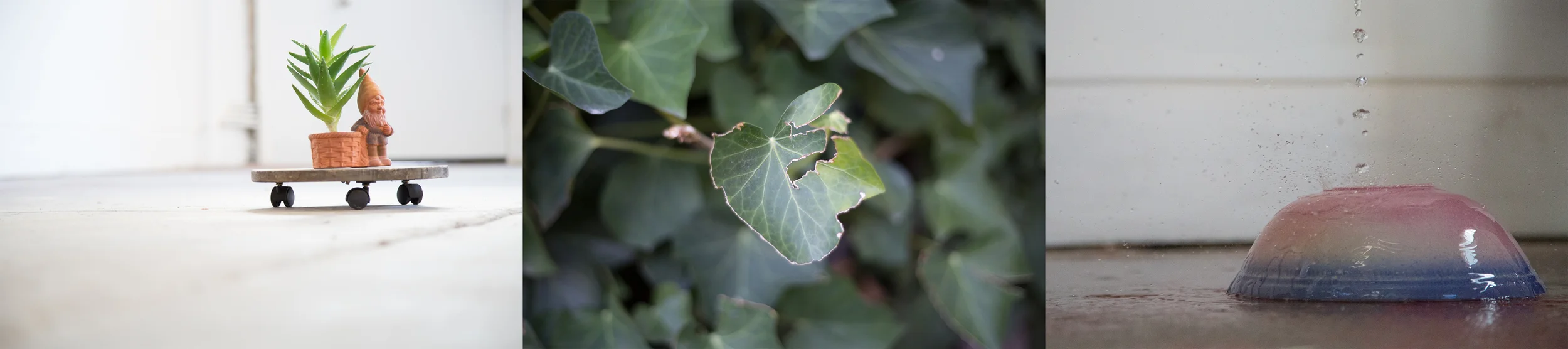 Photos taken by me (in manual) at my first photography workshop in 2014.