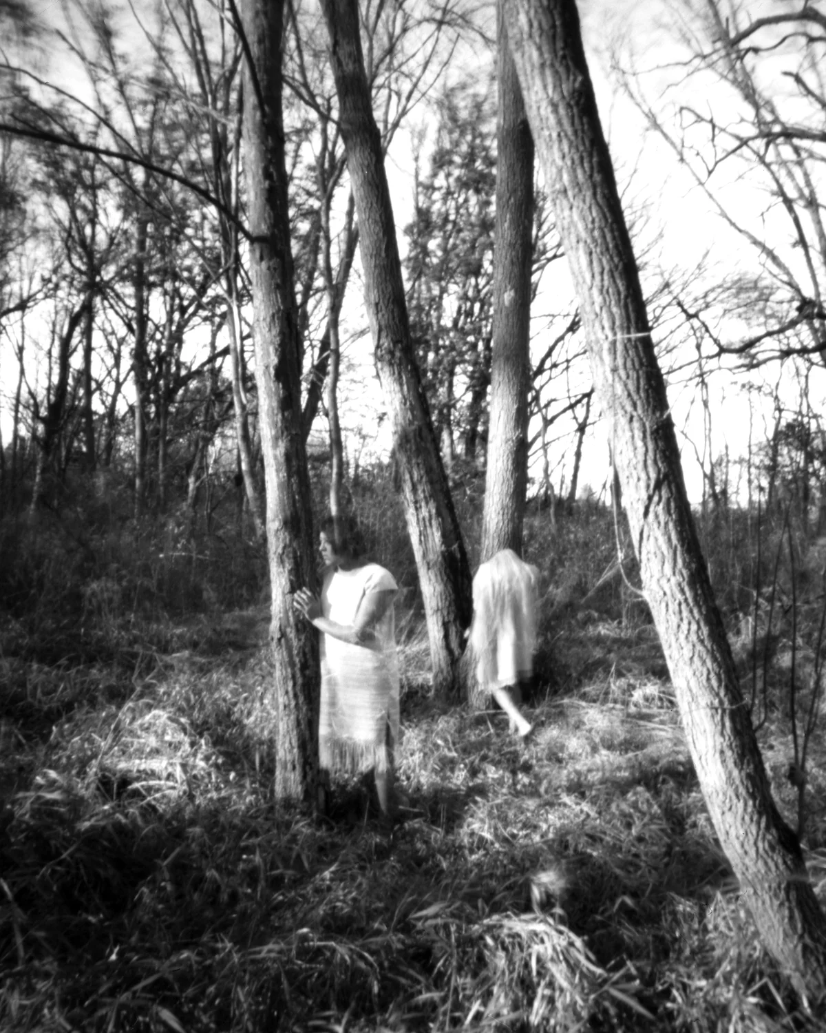 From the series Duality 2017
