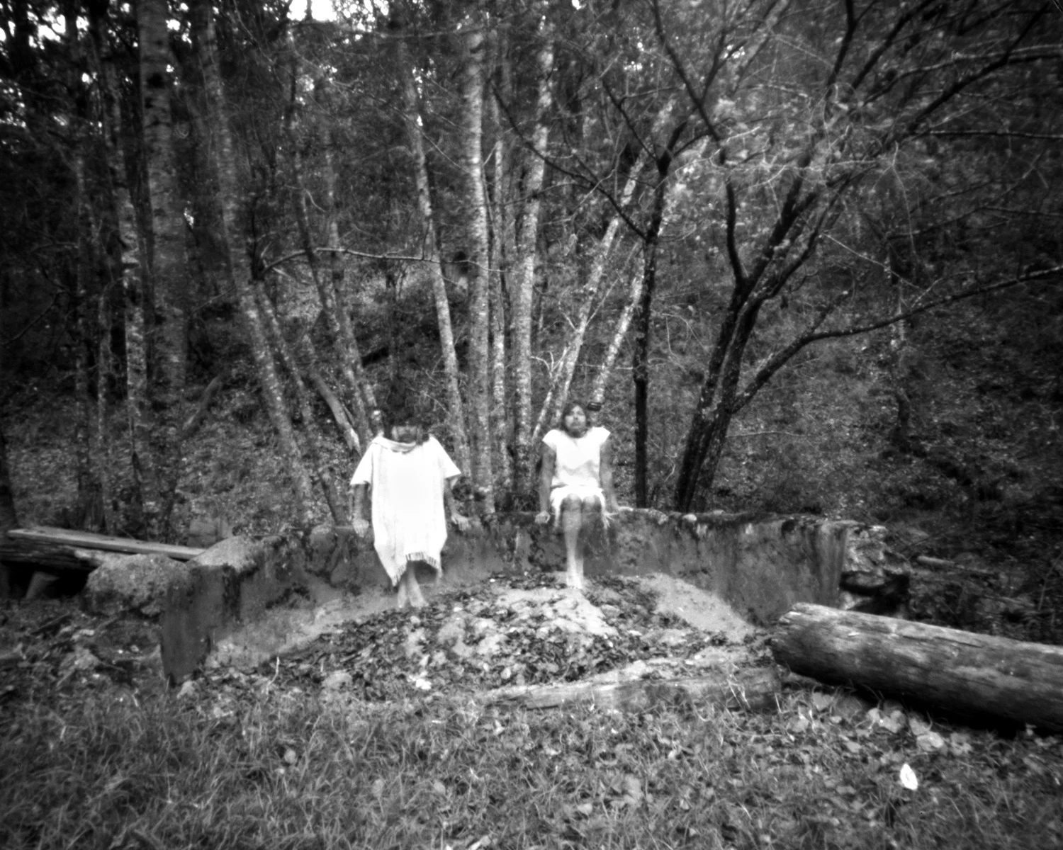 From the series Duality 2017