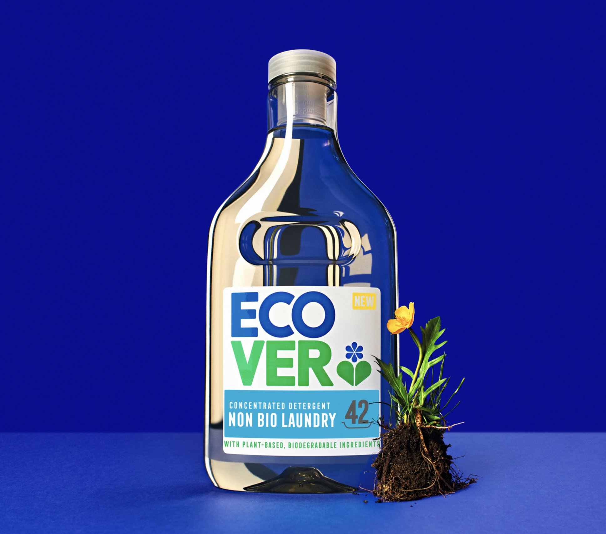 Screen Shot 2022-01-19 at 10.38.32 PM.png