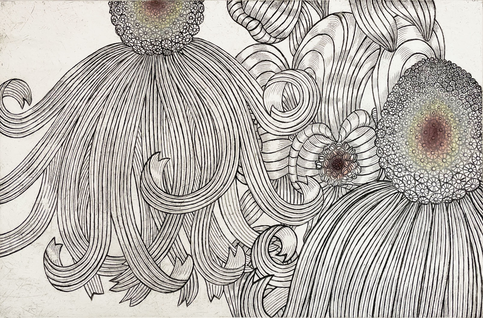Nancy Blum