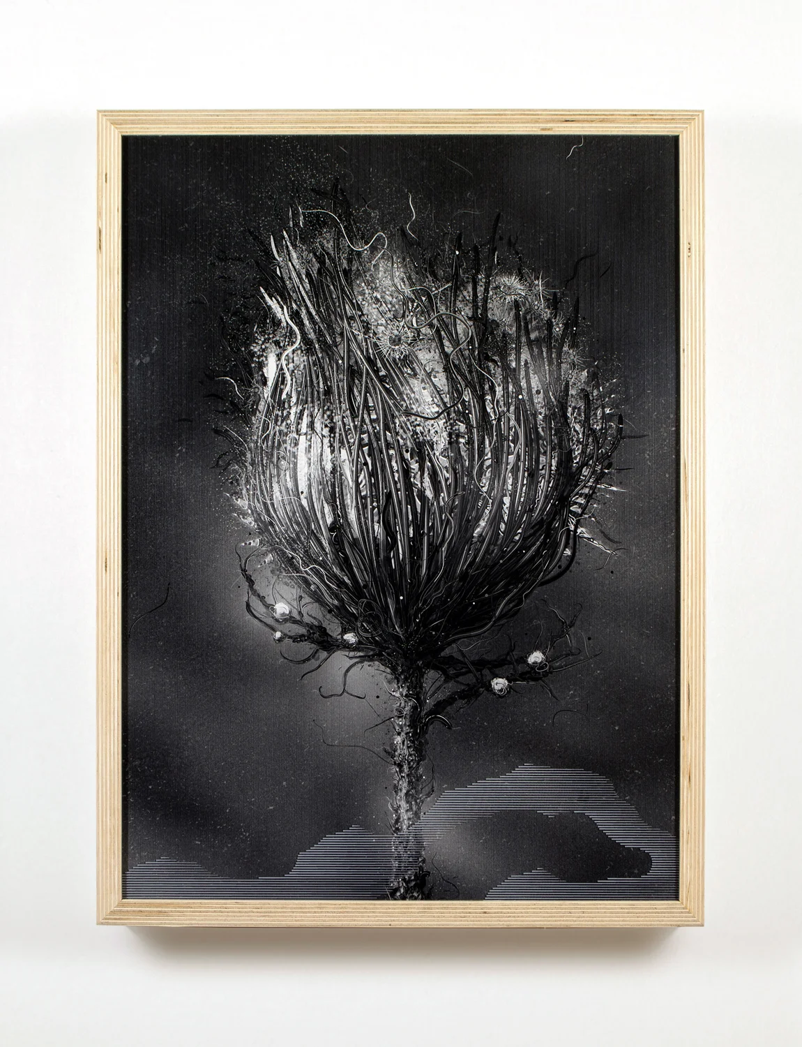 Flora in Debris. Pilosus Virga, 2014
