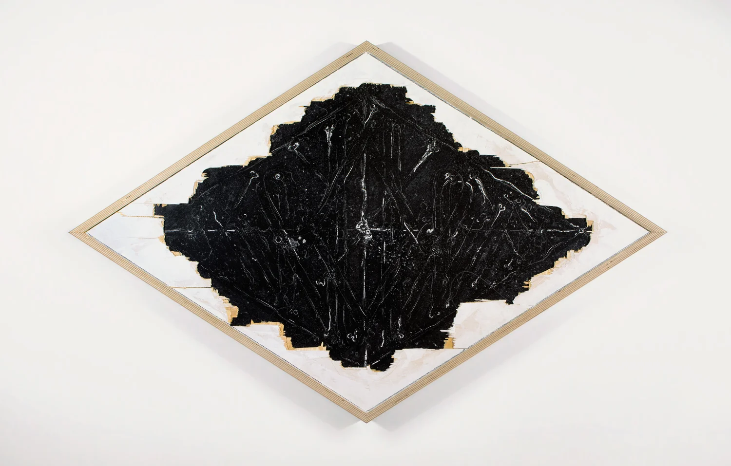 What Fossilized Remains Tell Us. WOW, 2014