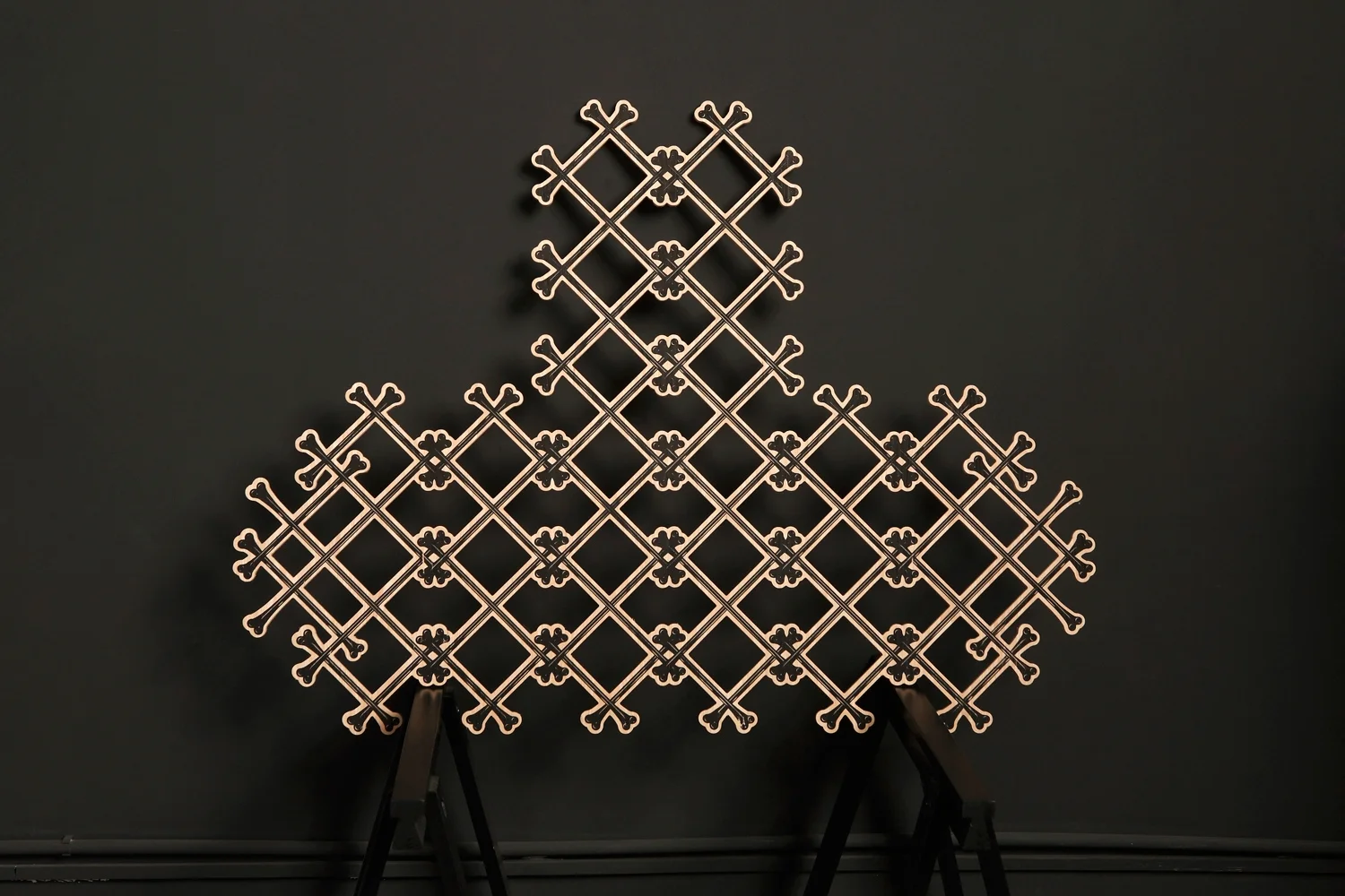 See Through Bone Shape, 2009