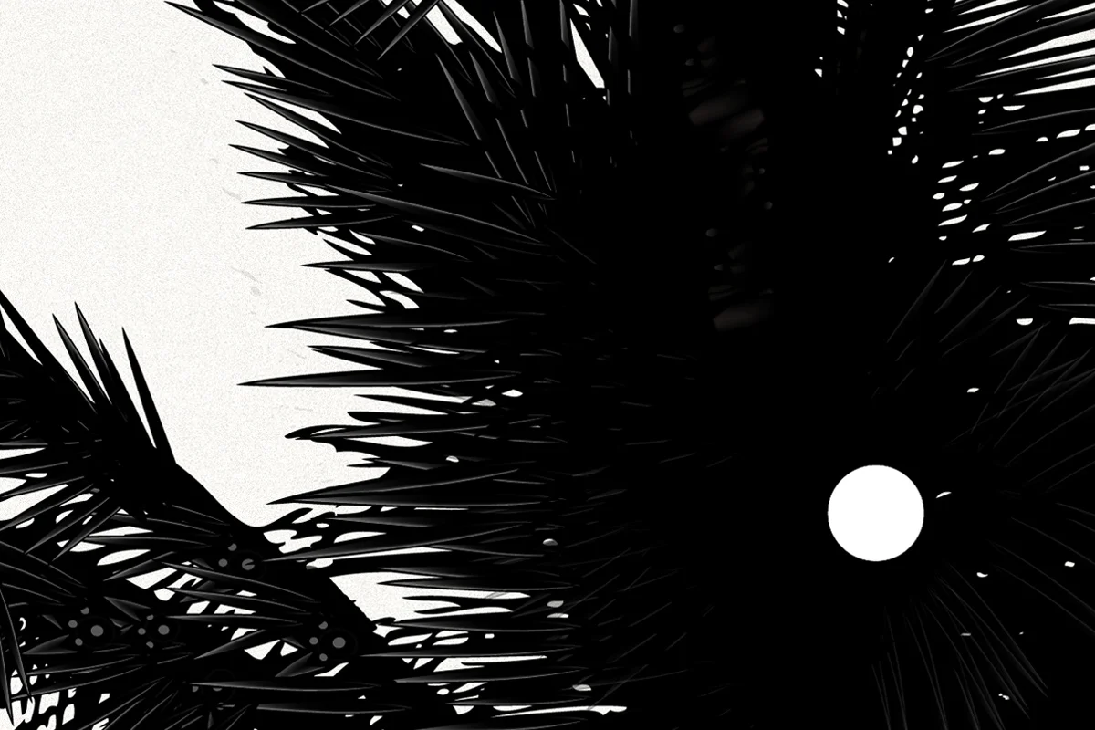 VDubko-FishNetHammock-detail1.jpg