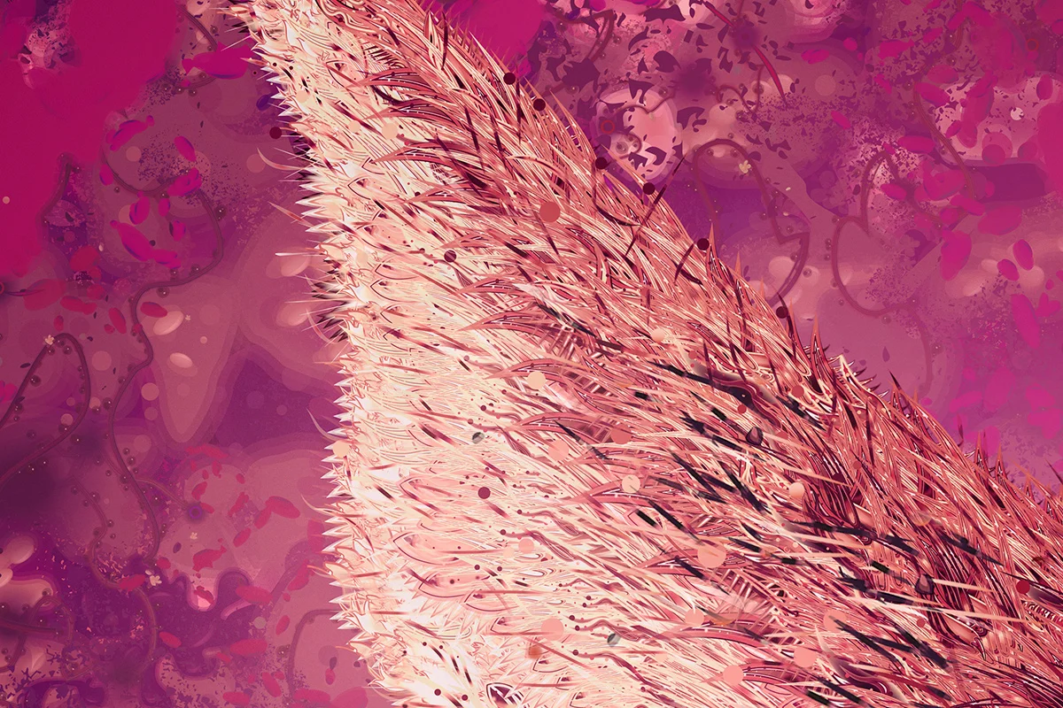 VDubko-FoxDark-detail2.jpg