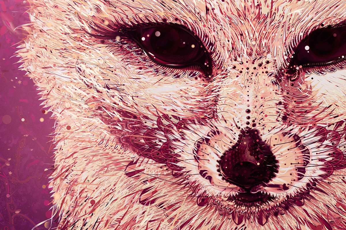 VDubko-FoxDark-detail1.jpg