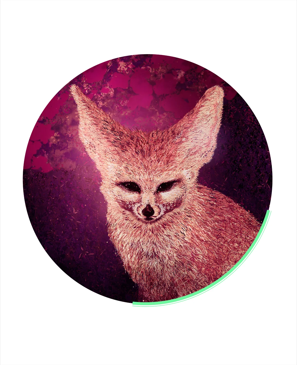 VDubko-FoxDark.jpg