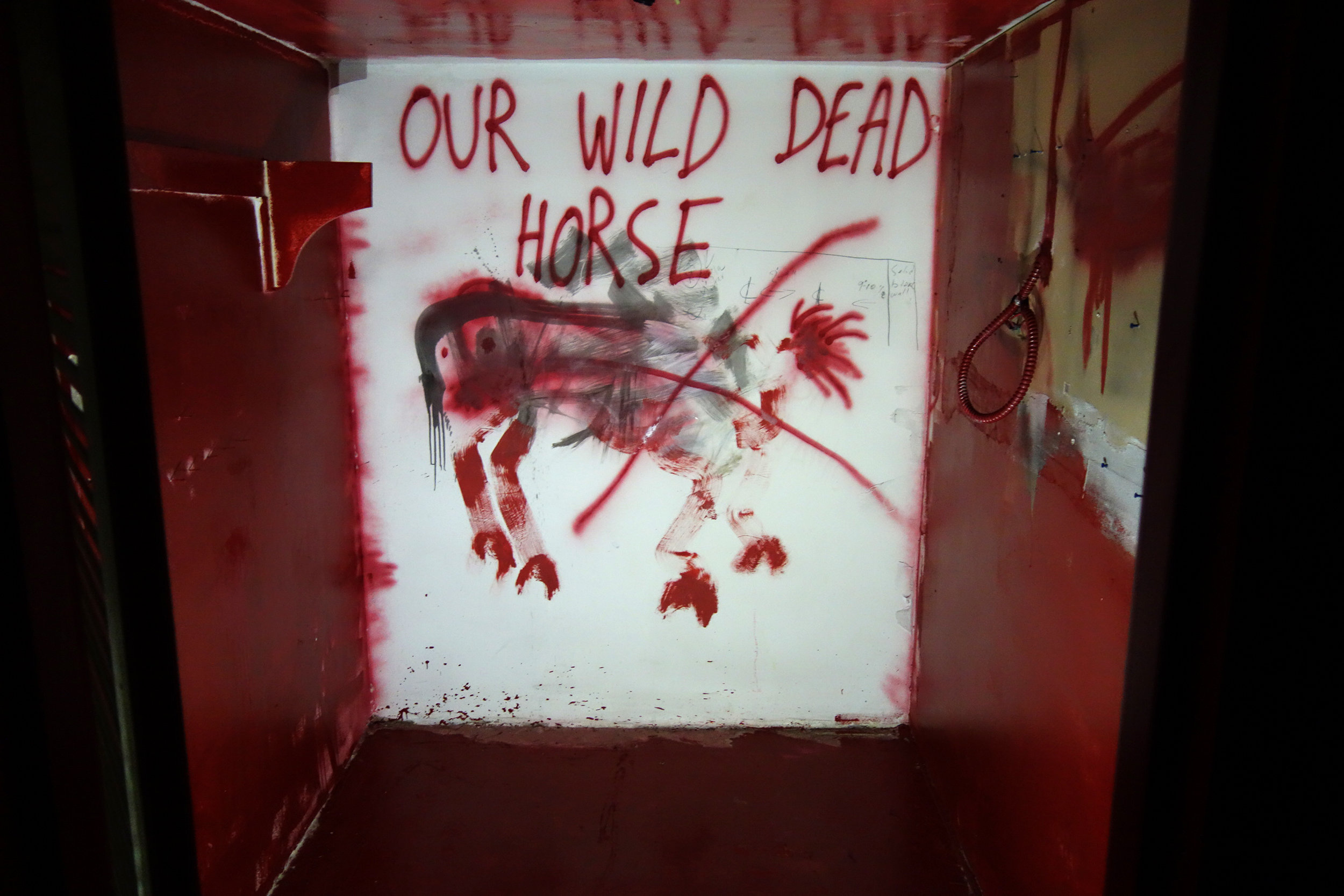 Our Wild Dead Horse room.jpg