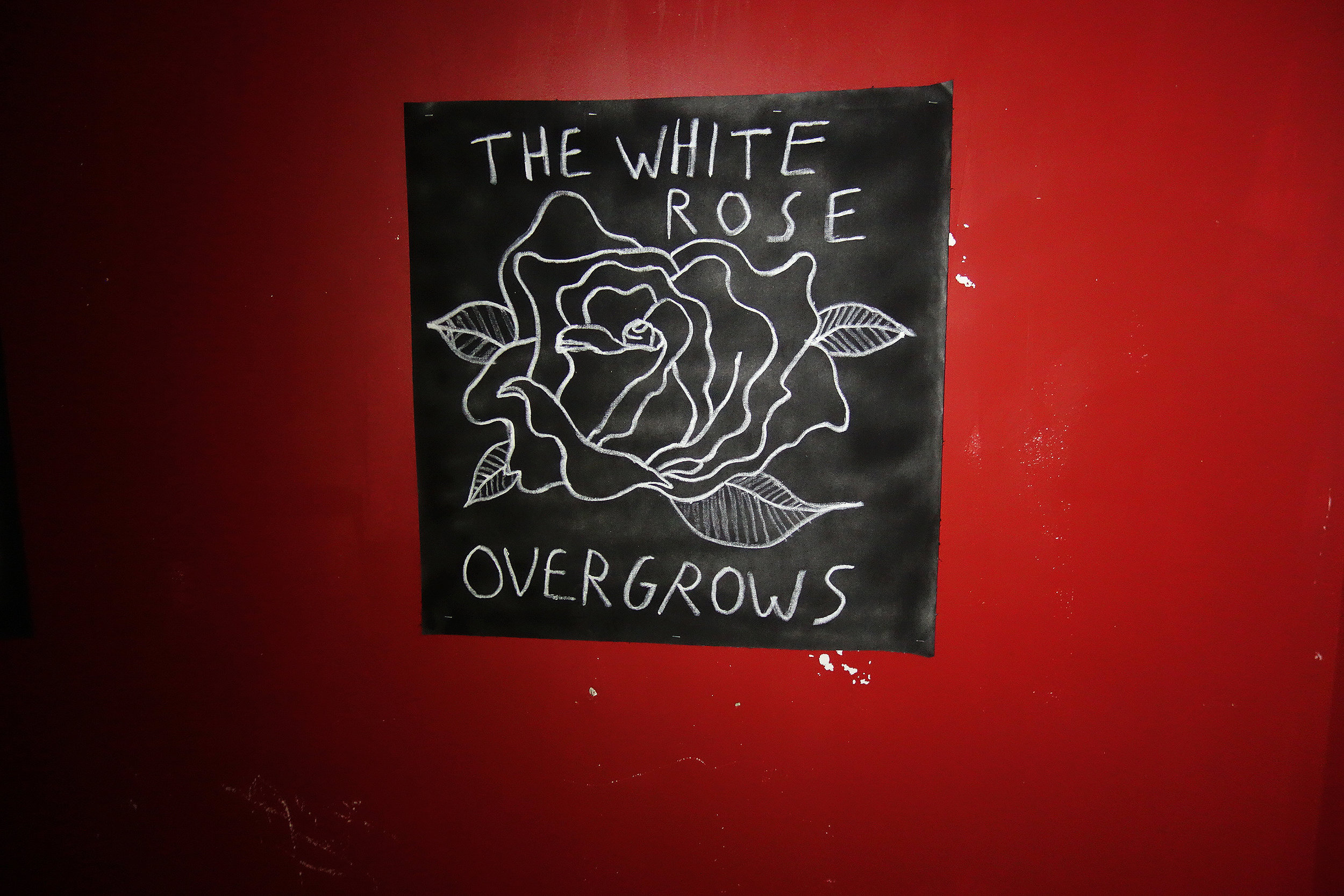 The White Rose.jpg