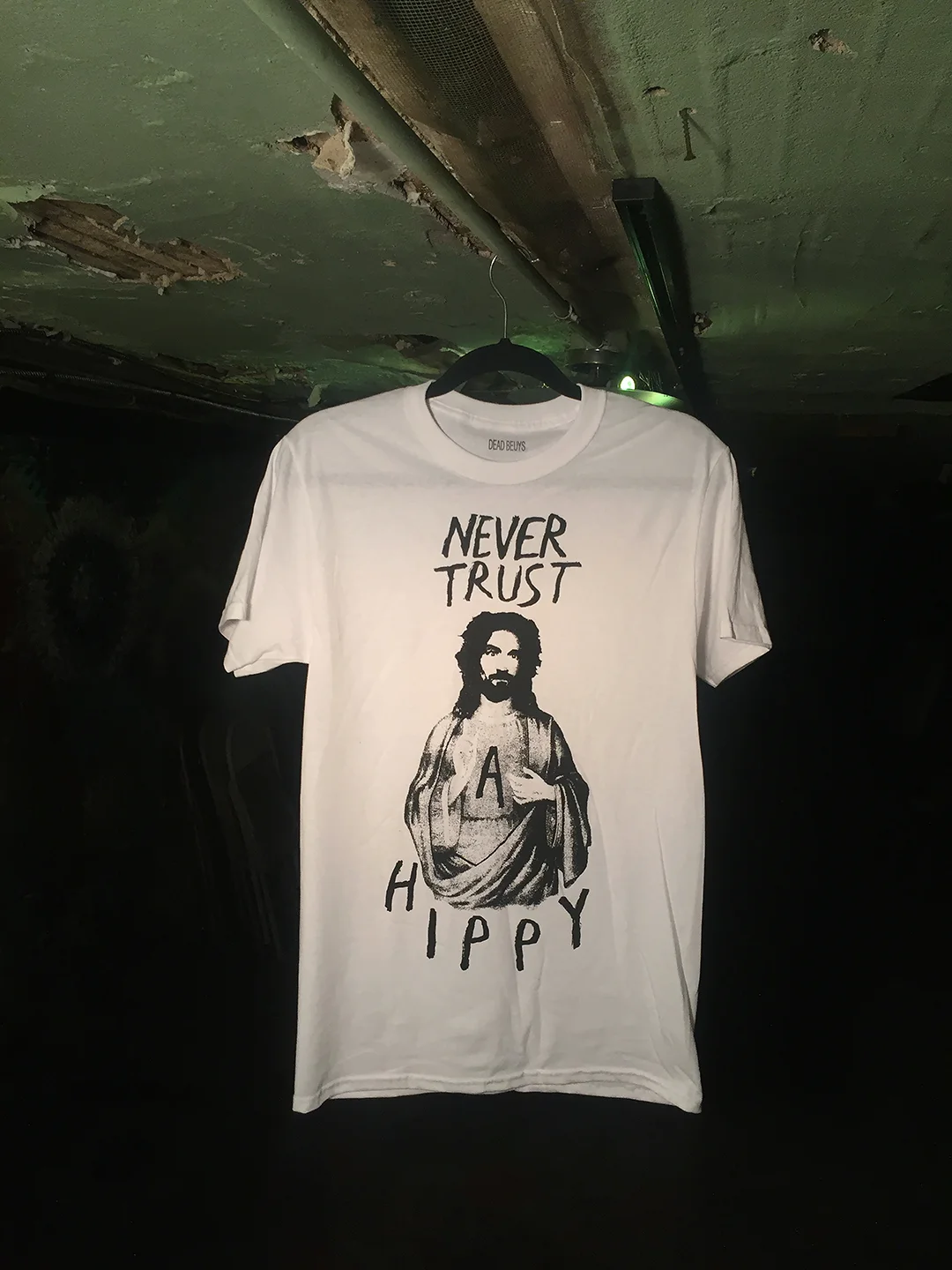 Never Trust A Hippy in basement small.jpg