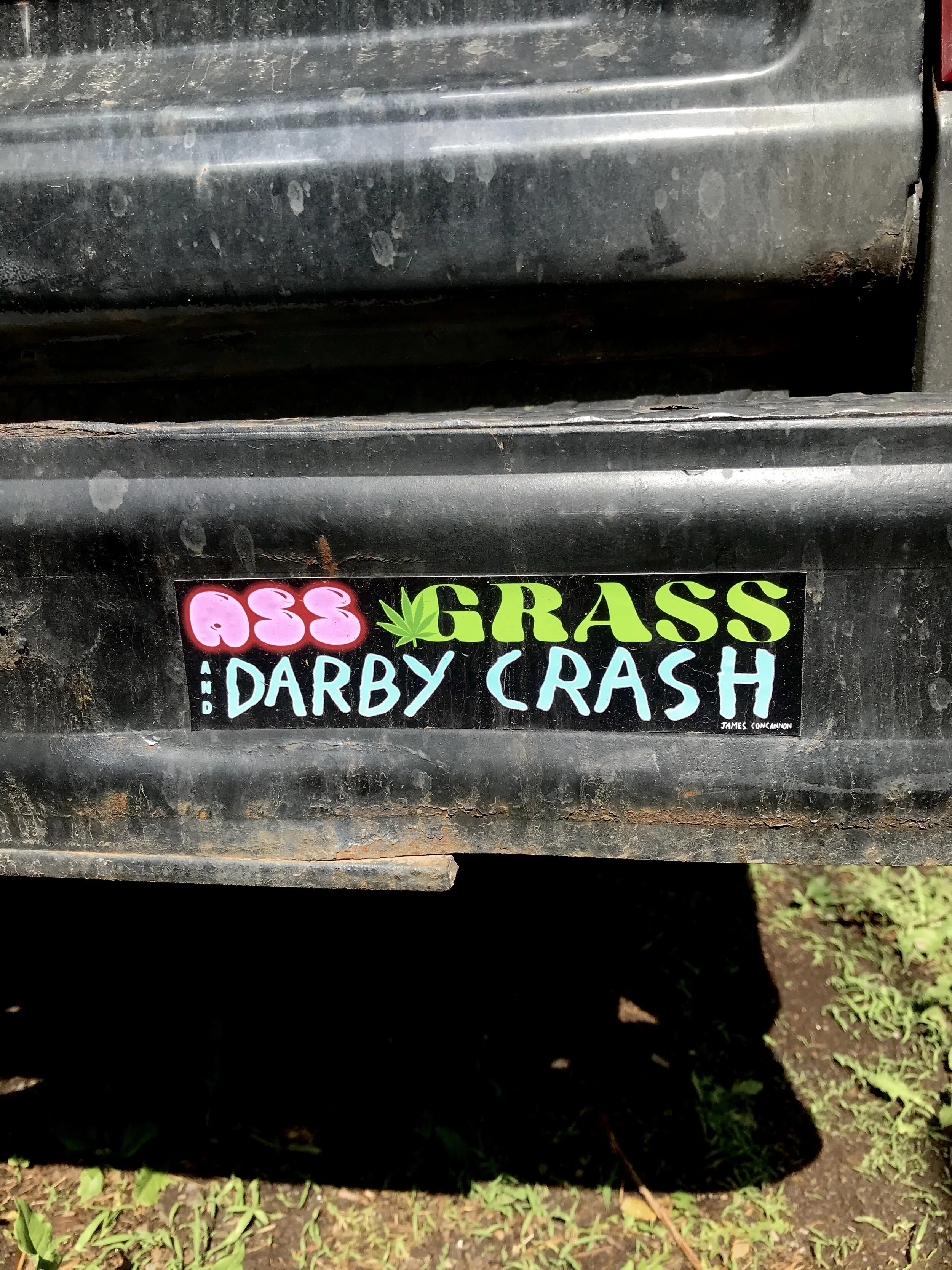 Ass Grass Darby Crash product shot.jpg
