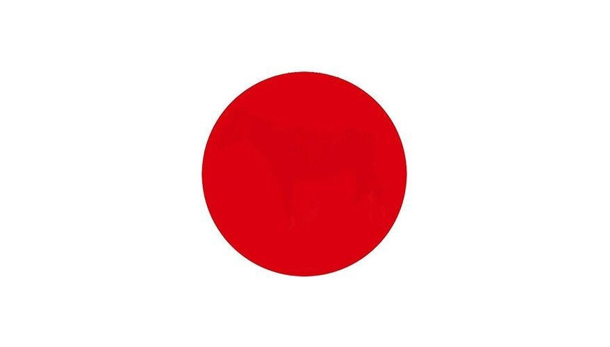 DOT