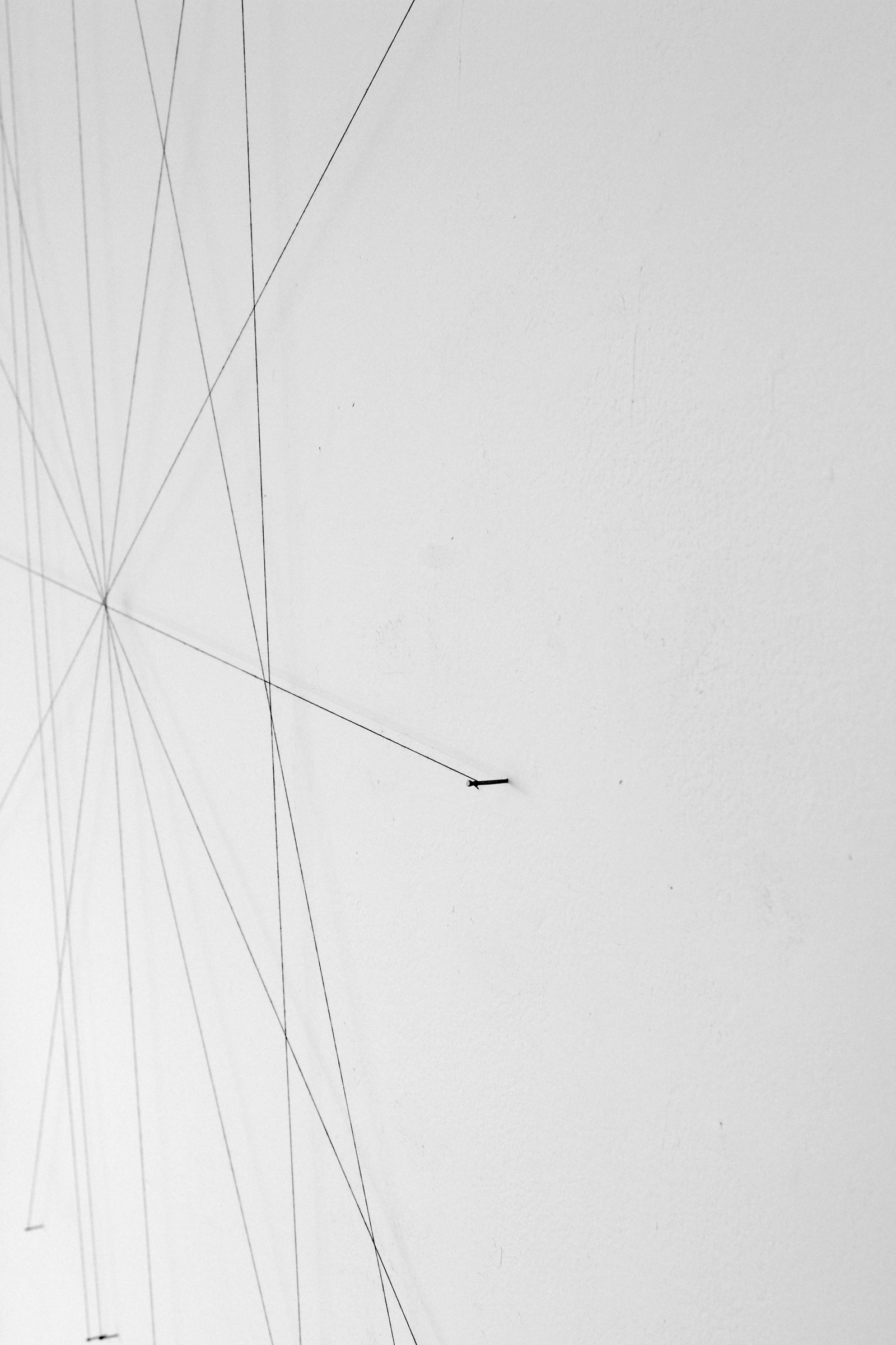   from the ongoing series: O/, Divided/Defined, Weights, Measures, and Emotional Geometry  2011, String and nails. Various Dimensions 
