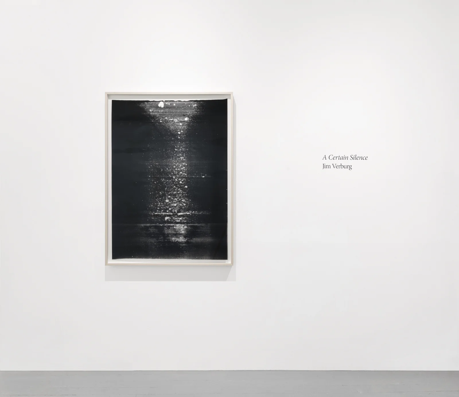   Untitled  (#2 from the series  Metaphysical Obstacles and The Acceptance of the Inevitable ), 2016, Oil based paint on frosted mylar, 47.5 x 35 inches (framed) 