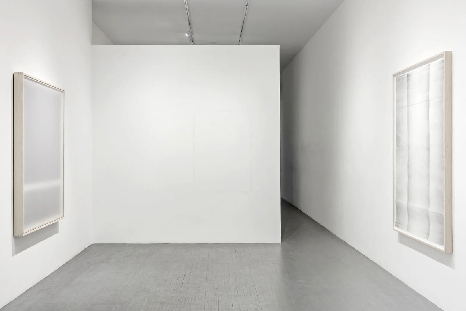   Installation view , &nbsp; Afterimage  (back wall) &nbsp; acrylic on wall ,&nbsp; Zalucky Contemporary, Toronto ON 