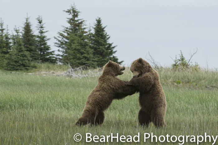 Two three-year-old siblings stand and play fight.