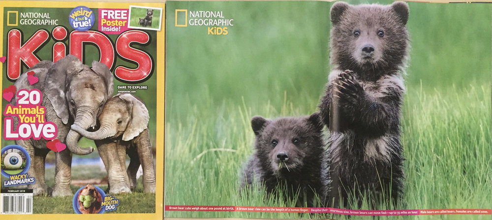 National Geographic Kids Publication — BearHead Photography