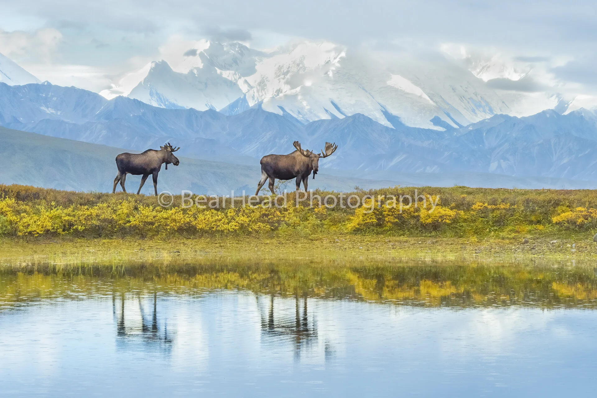 Alaskan Reflections