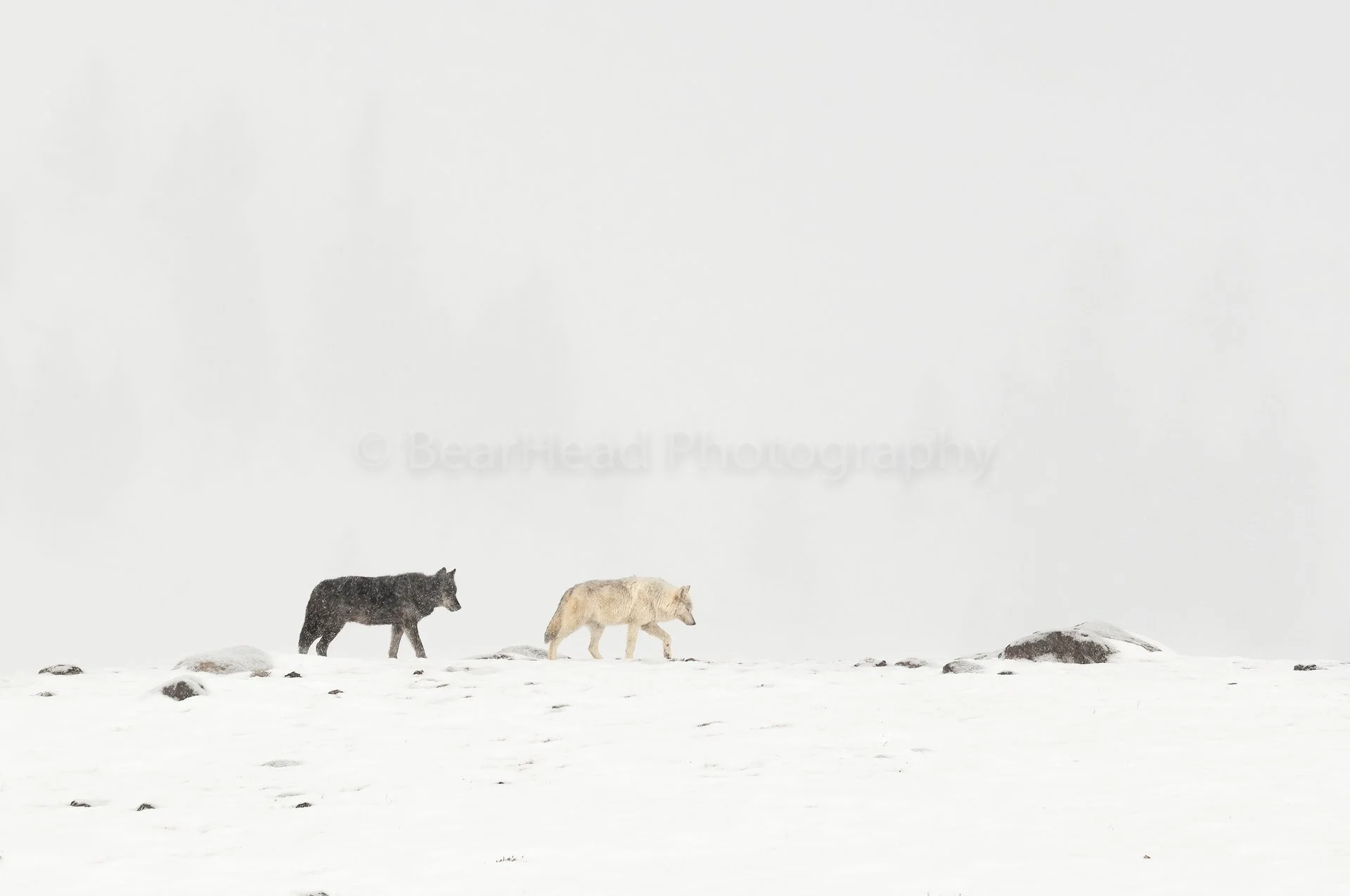 _BHS1390-Edit.jpg