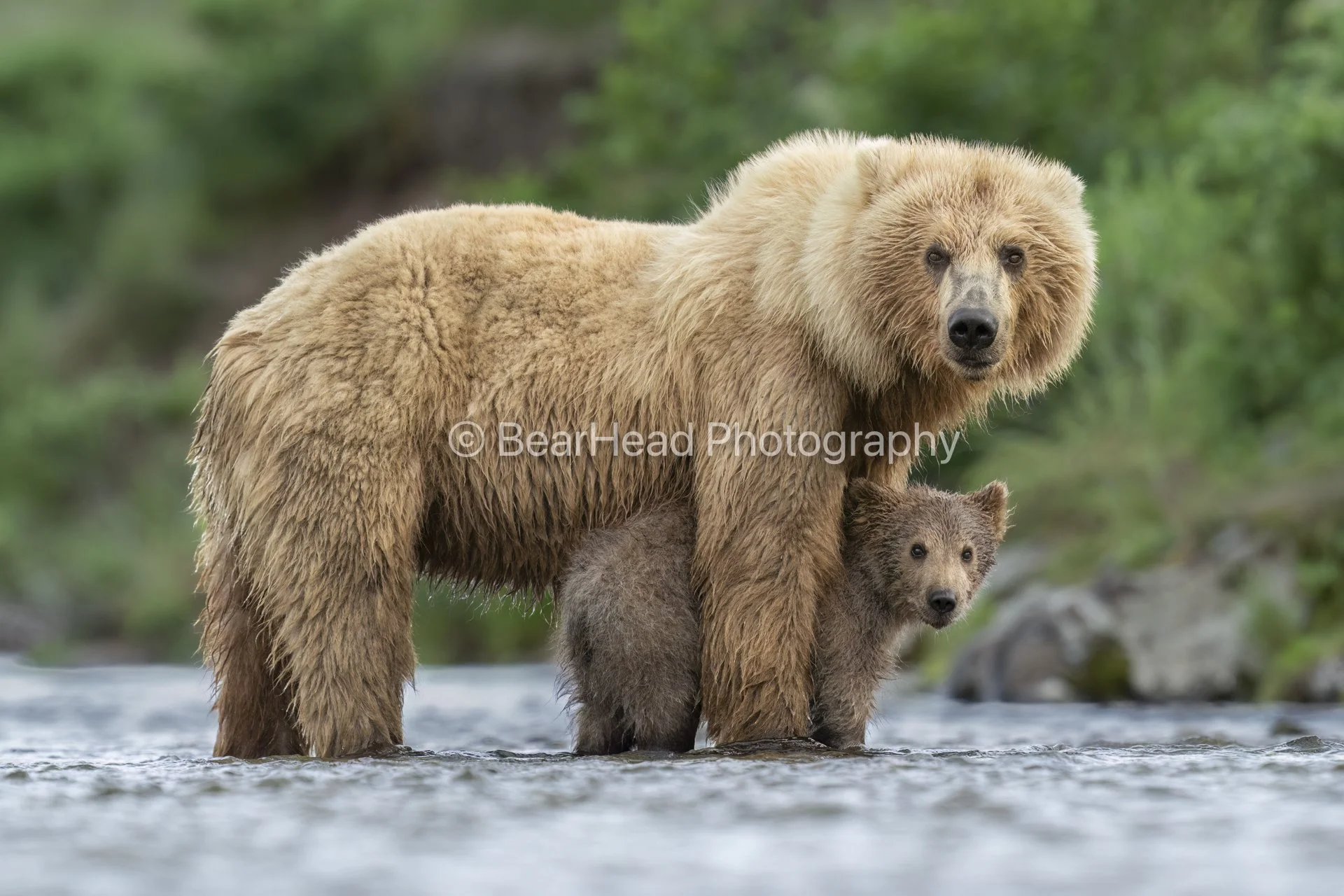 Mom's Comfort