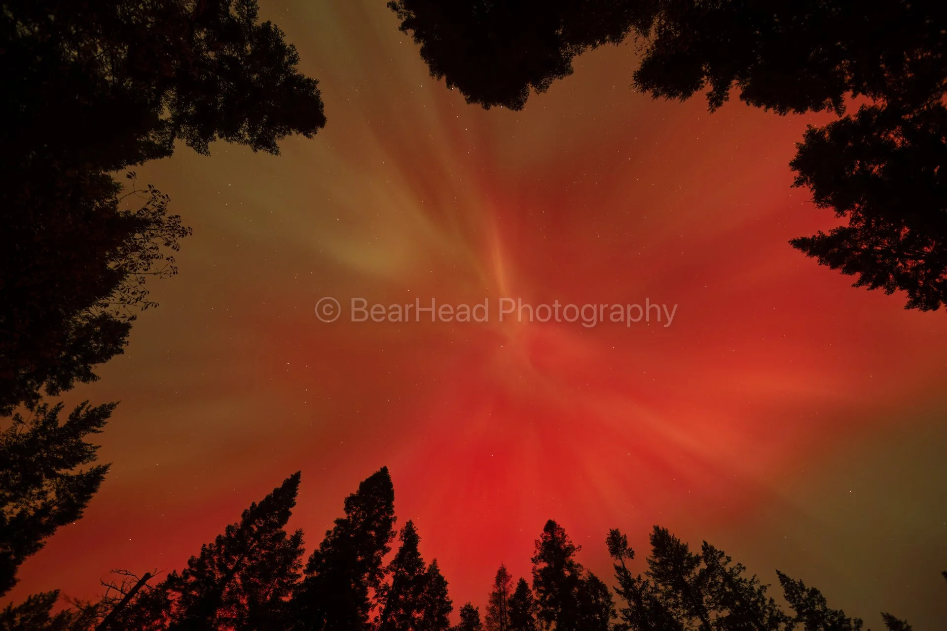 Red Inferno