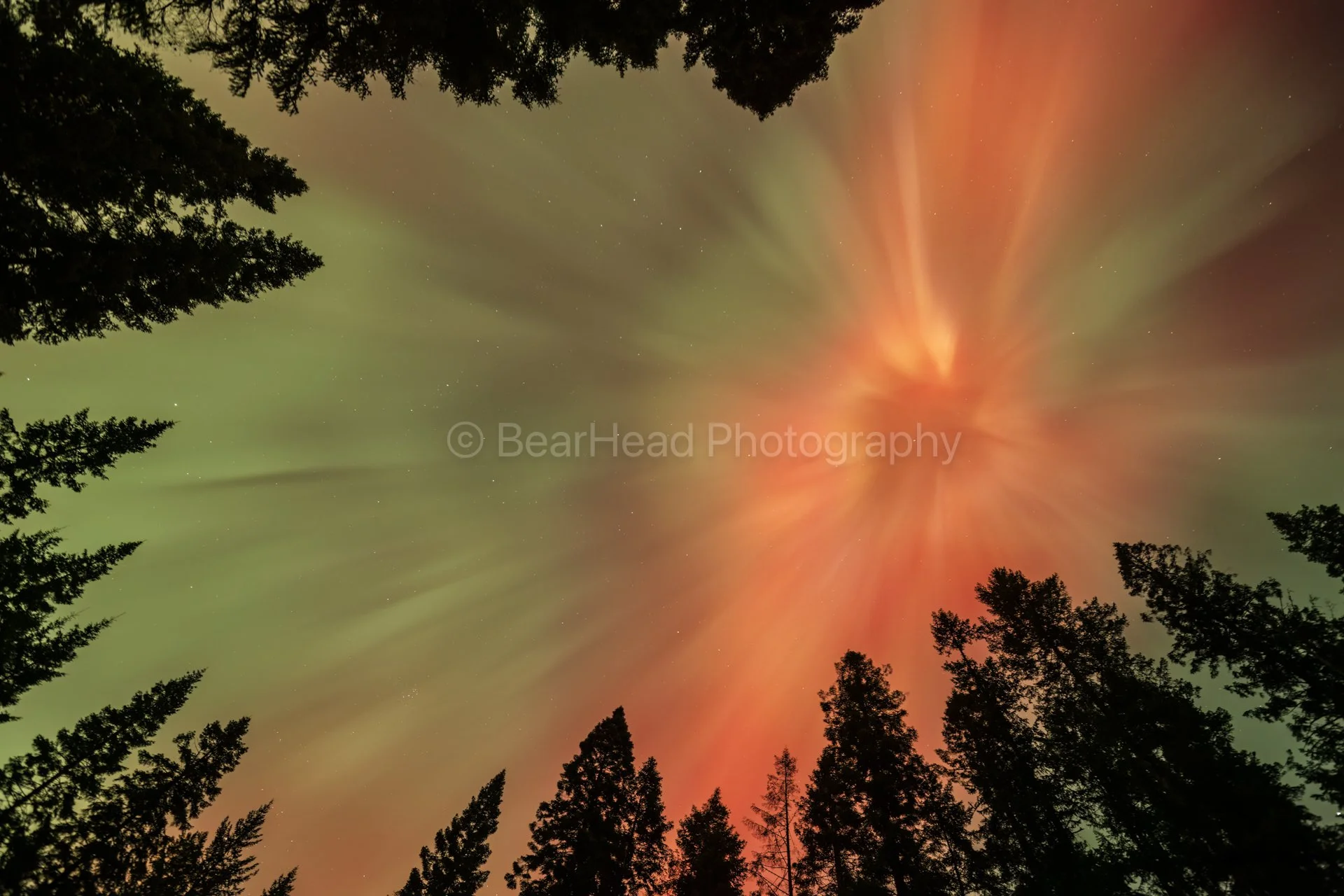 Northern Eye