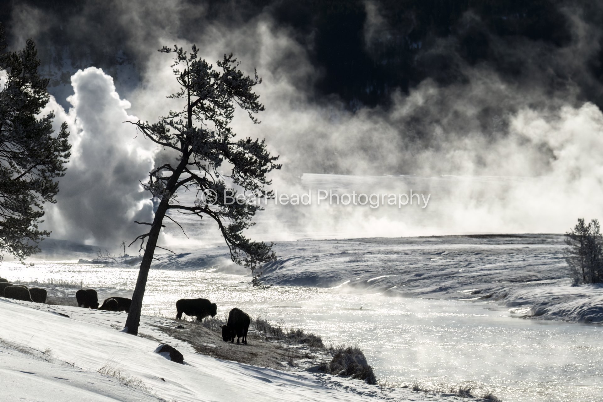 Dramatic Yellowstone