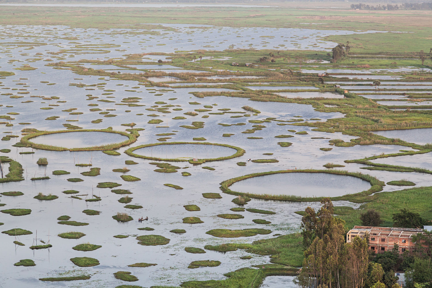 After Imphal, Loktak Lake was my next destination. It was remarkably beautiful. Those are not islands; they're floating masses of vegetation, soil, and organic matter known as phumdis.