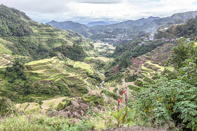 After the rain from one of the highest viewpoints in Banaue Valley.