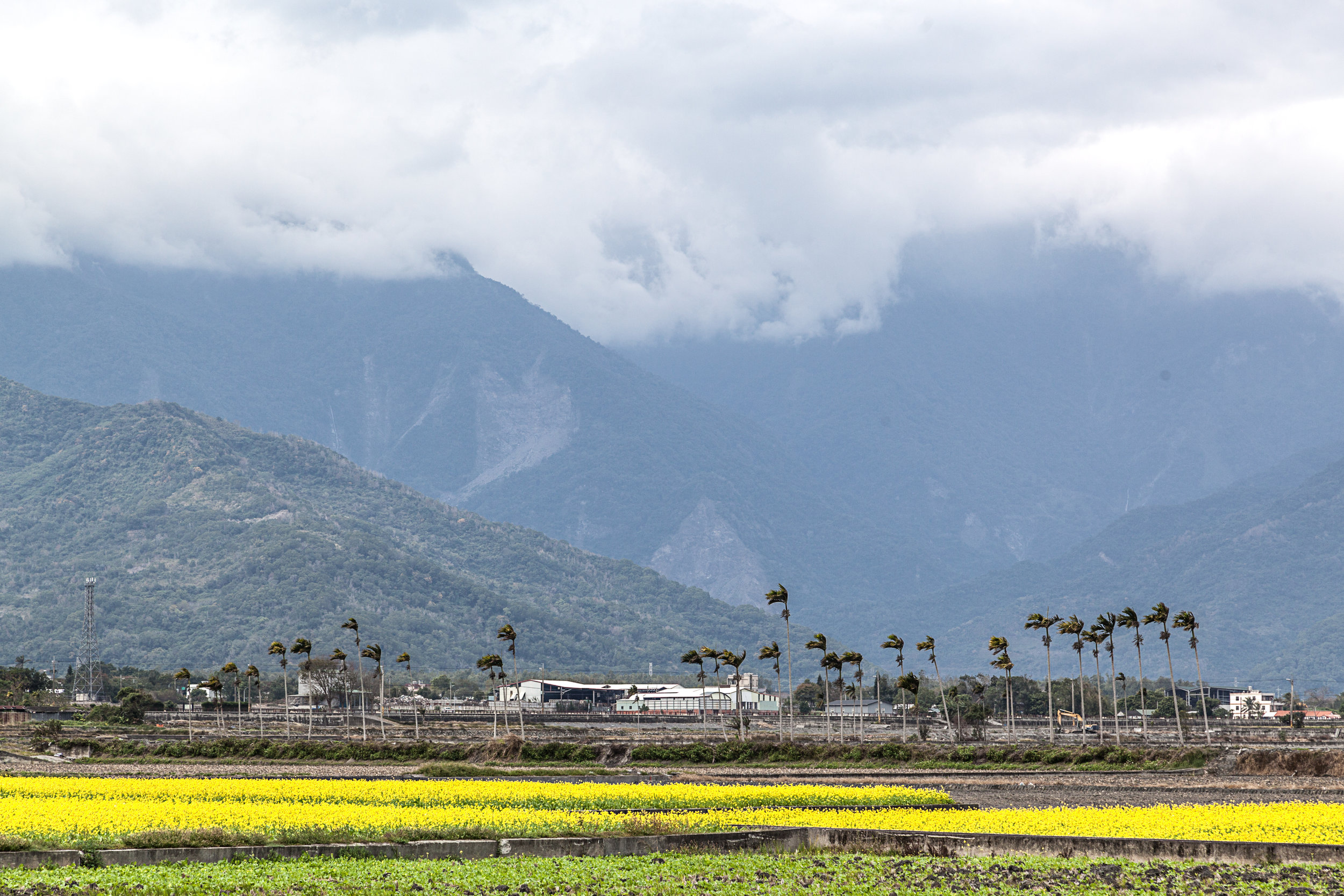 Taiwan's west and east coasts are polar opposites, separated by 3,000m+ peaks. The west is industrial and densely populated, whereas the east is lush with few people. This was in Taitung County.