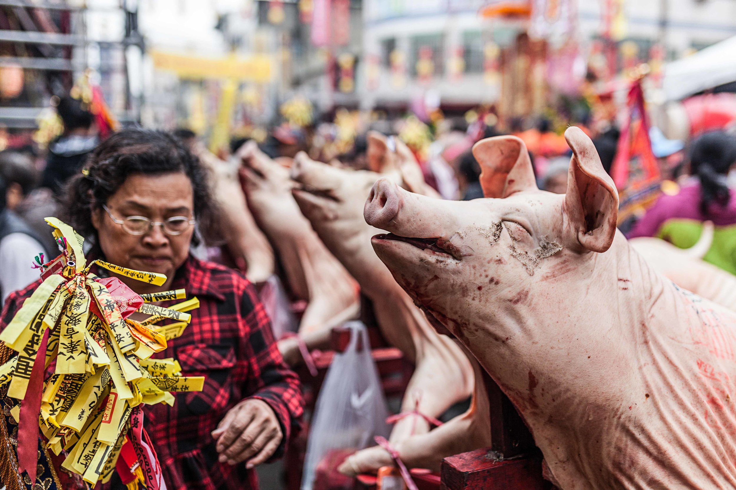 On the fourth day—a much needed rest day for pilgrims halfway through 330km—I found sacrificial pigs lined up outside Xingang Fengtian Temple to honour the birthday of Mazu — Chiayi County  