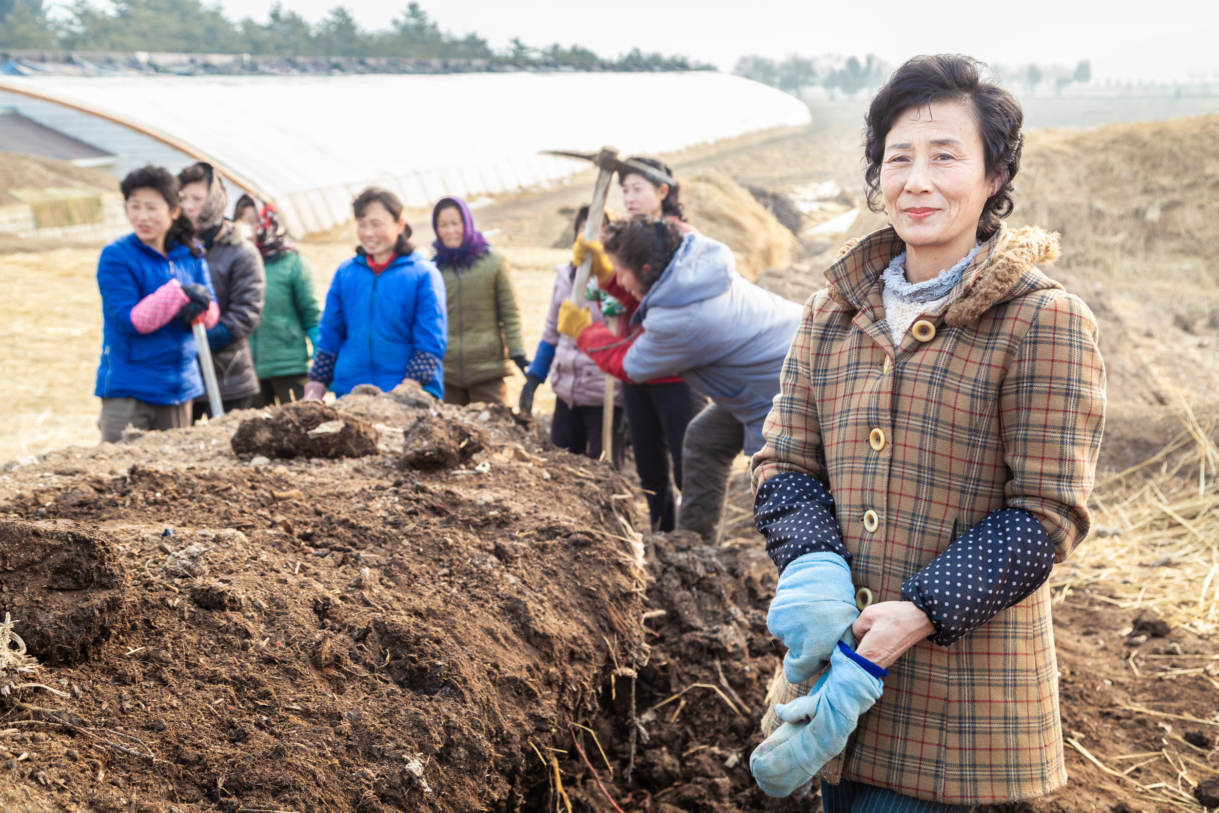 Women working on a cooperative farm halfway along the Youth Hero Motorway from Pyongyang to Nampo City.