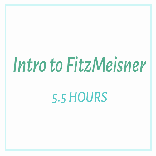 Intro to FitzMeisner.png