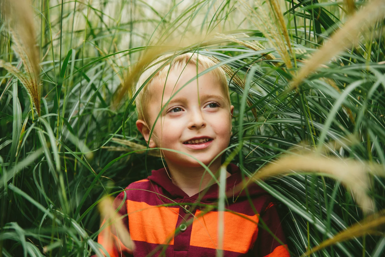 MiniSessions-Slideshow-006.jpg