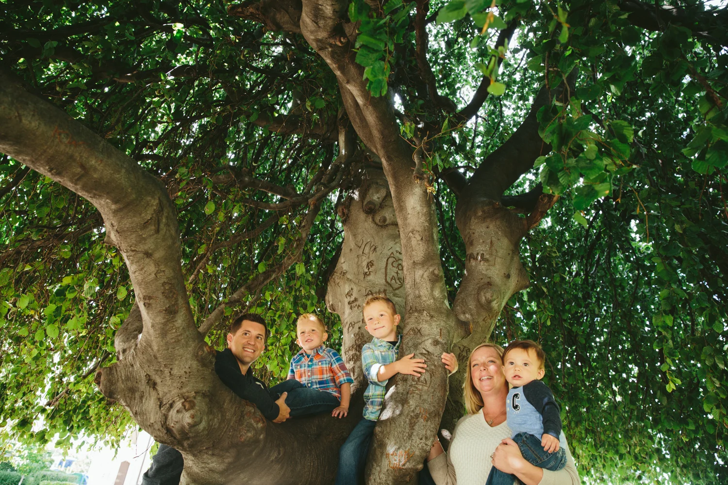 MiniSessions-Slideshow-082.jpg