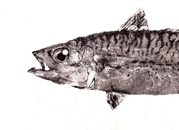 print1.jpg