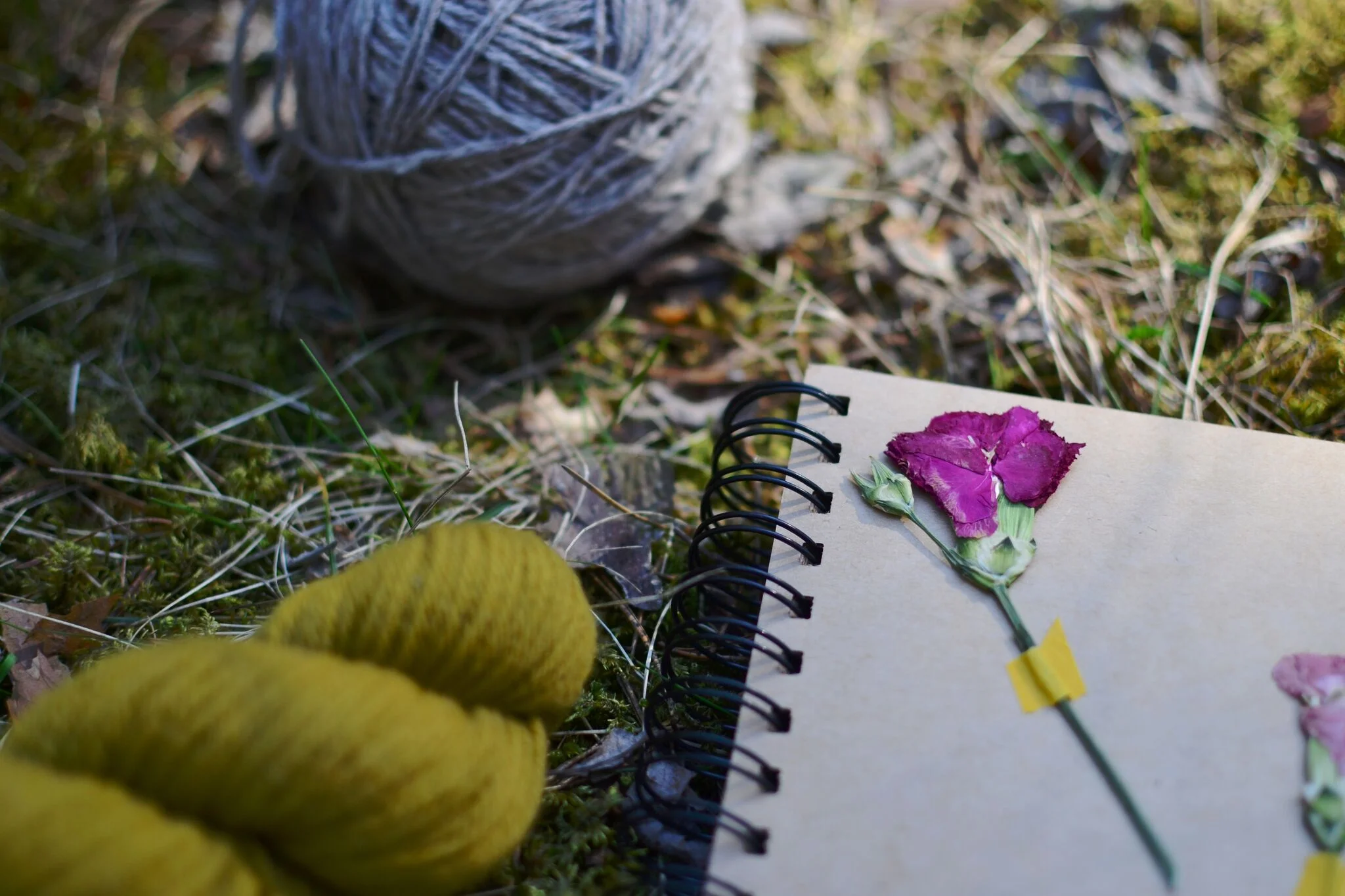 Gather while you may...