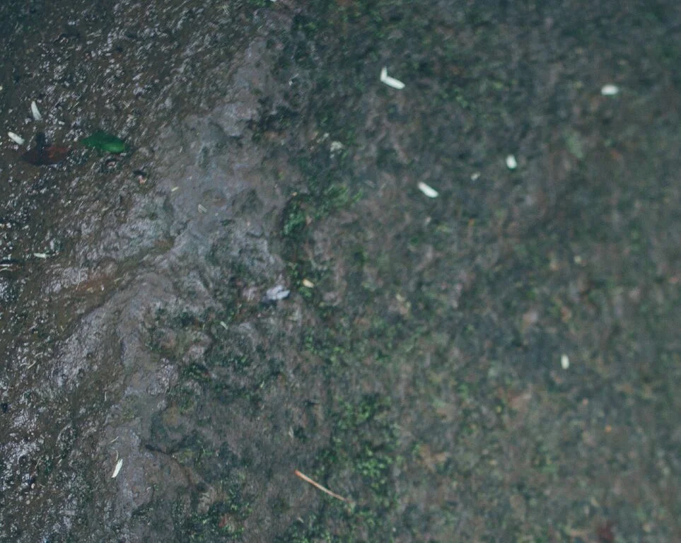 Peek A Boo! What Are You? 