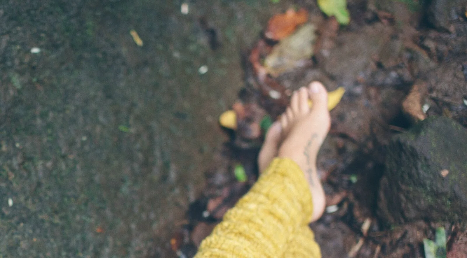 Peek A Boo! I see you!