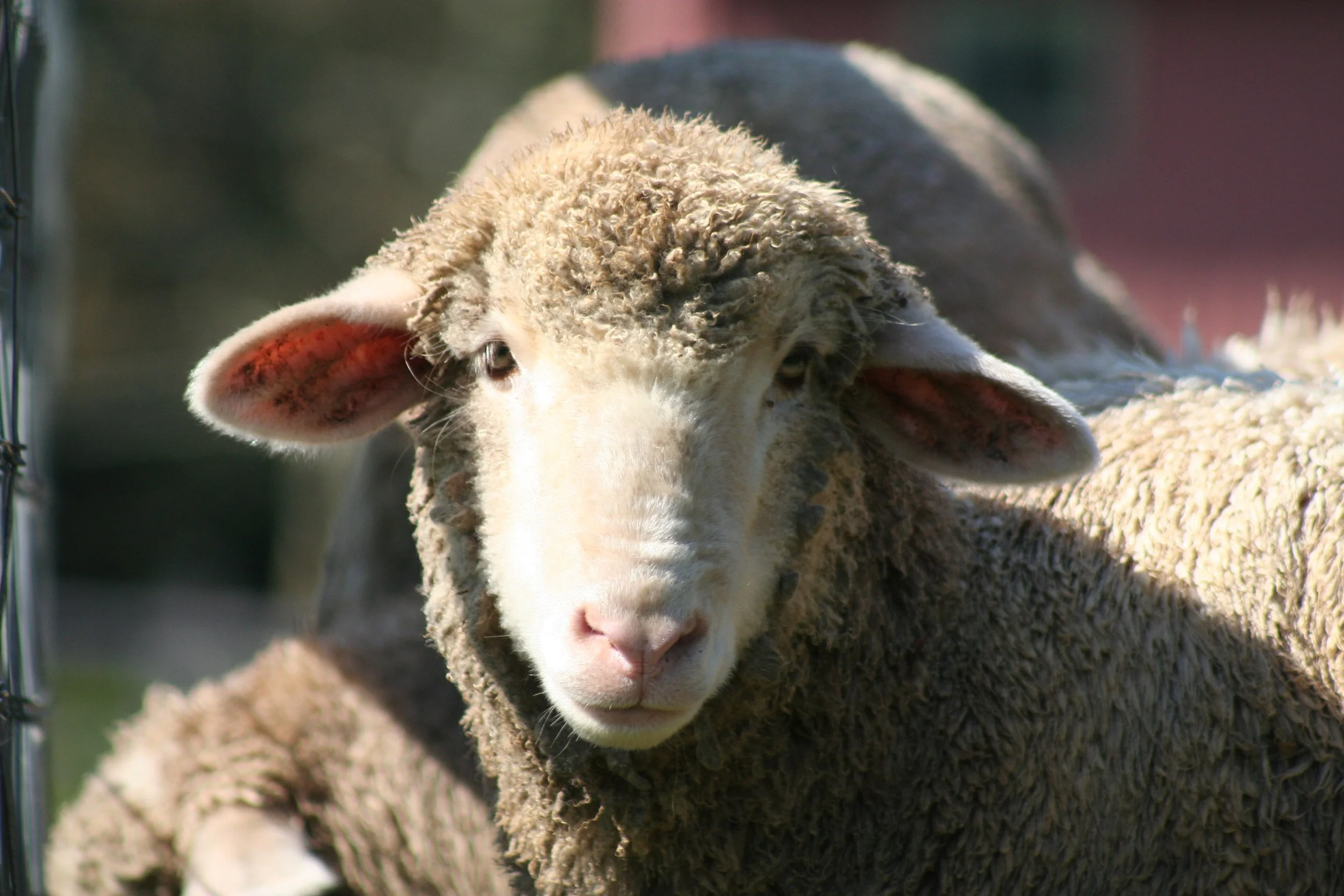 Episode #6: Unique Yarn Discoveries