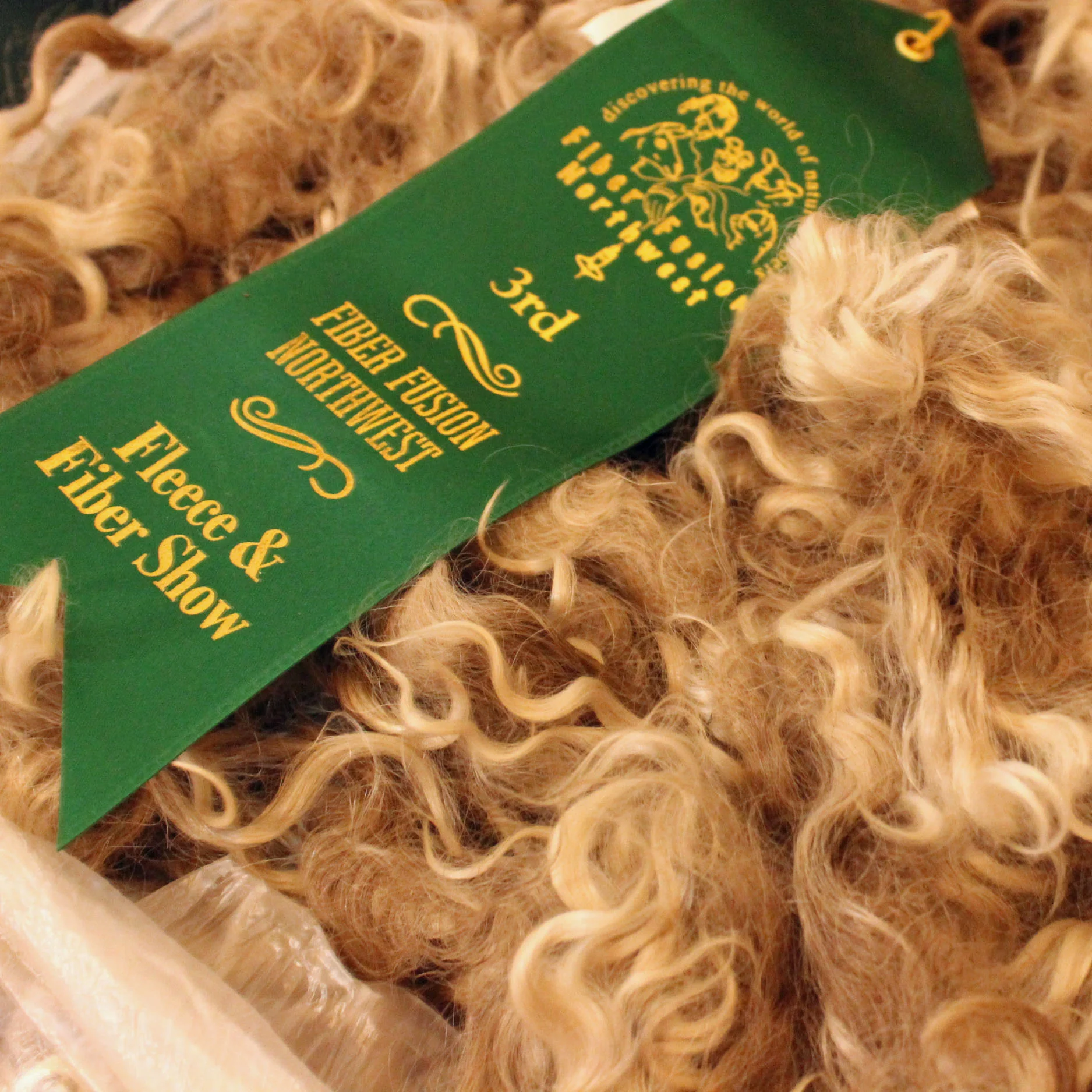 Shooting Yarns Raw Fiber.jpg